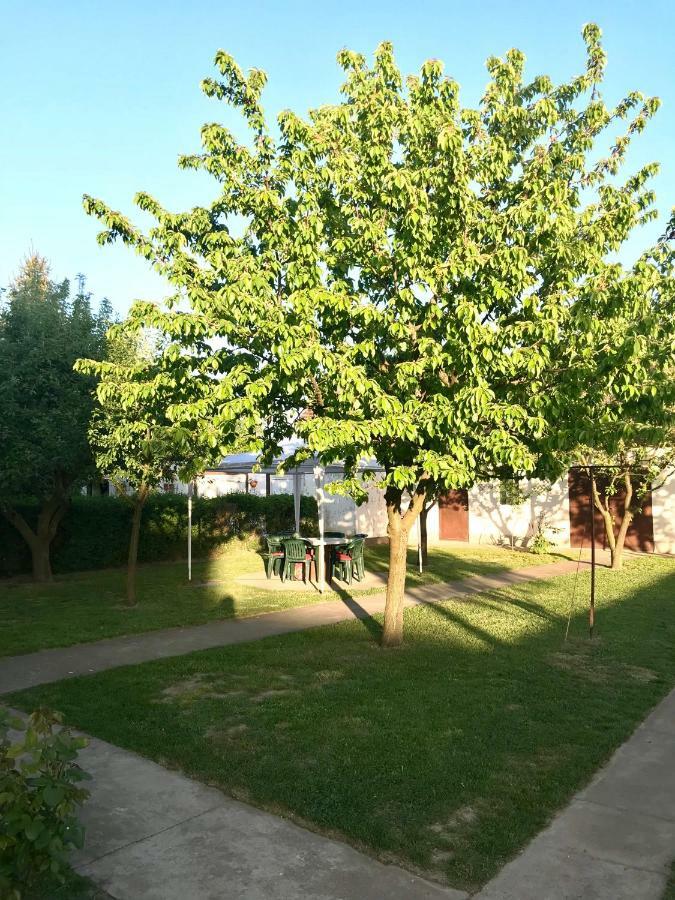 Apartmani Matosevic Ivankovo 外观 照片